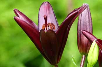 小七手机号在线网页轰炸