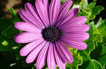 电话轰炸在线免费