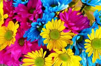 轻量级高效的短信压力测试破解版