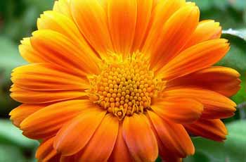 短信轰在线轰炸免费下载